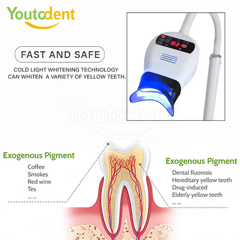 Professional Dental 3Color Lig - Teeth Whitening Light 리뷰 및 가격