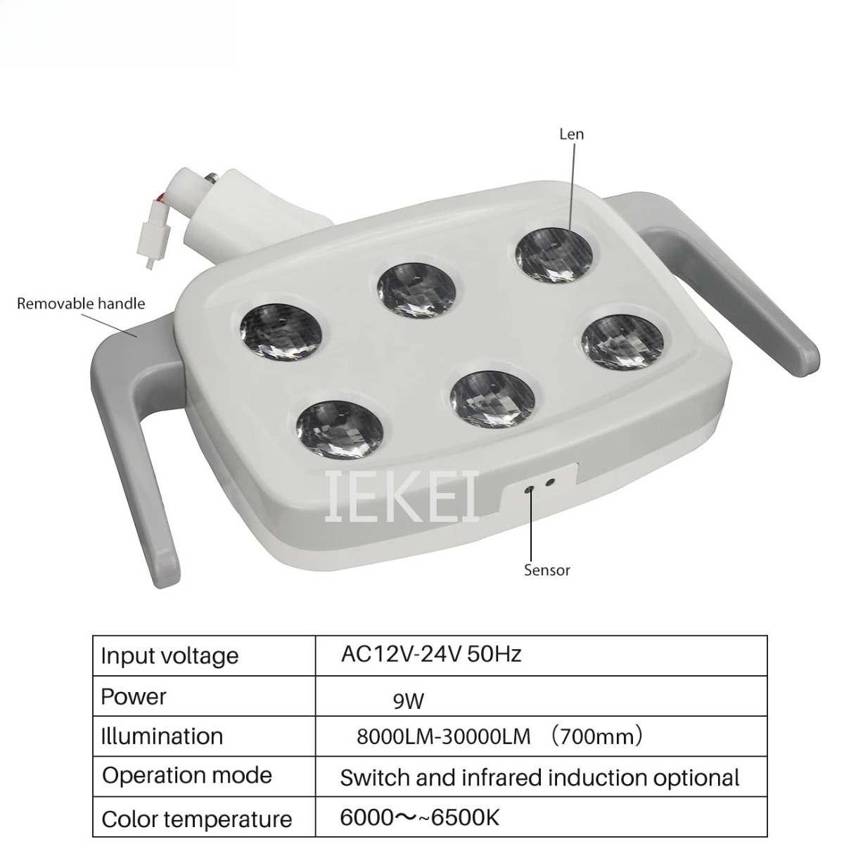 6LED Dental Oral Light Suitabl - Teeth Whitening Light 리뷰 및 가격