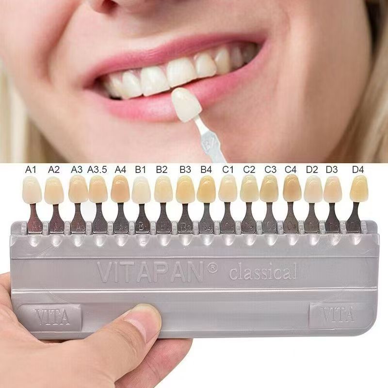 VITA 16 Colors Teeth Shade Gui - Teeth Whitening Dental 리뷰 및 가격