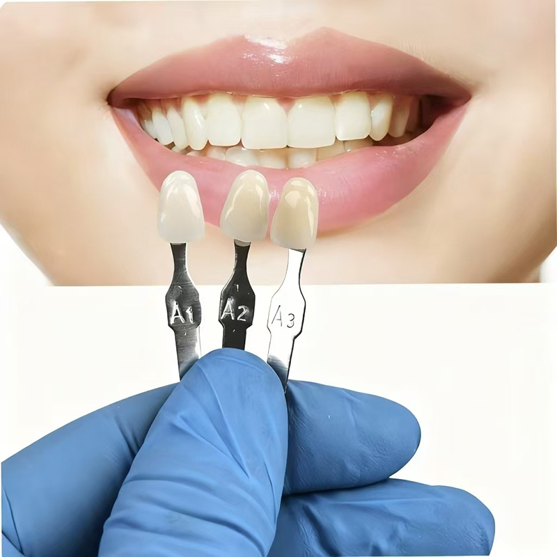 VITA 16 Colors Teeth Shade Gui - Teeth Whitening Dental 리뷰 및 가격