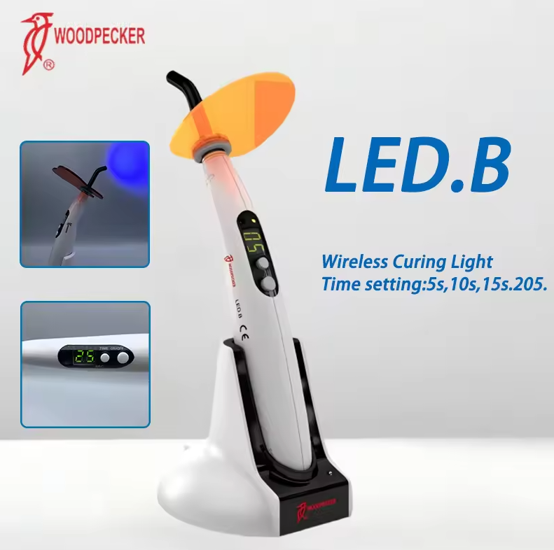 Dental Curing Light Woodpecker - Teeth Whitening Light 리뷰 및 가격