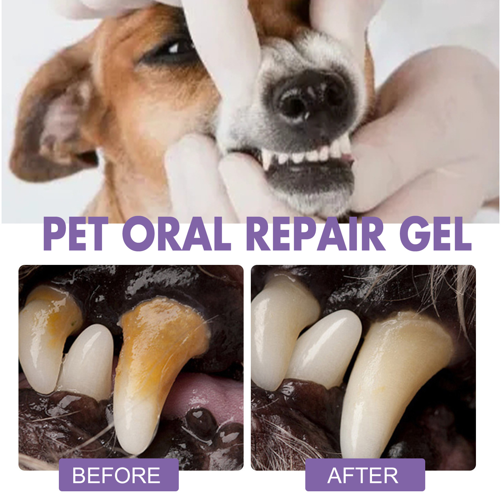 Pet Oral Repair Gel Puppy Tart - Teeth Whitening Vape 리뷰 및 가격