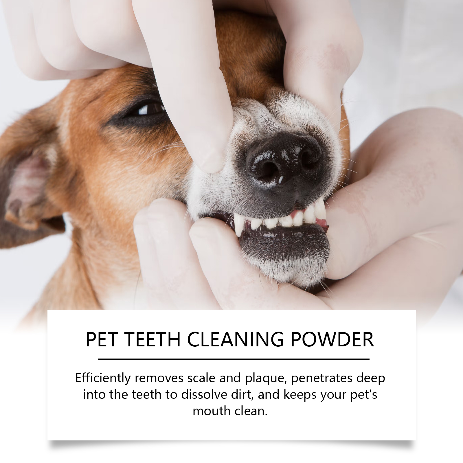 Pet Teeth Cleaning Powder Redu - Teeth Whitening Vape 리뷰 및 가격
