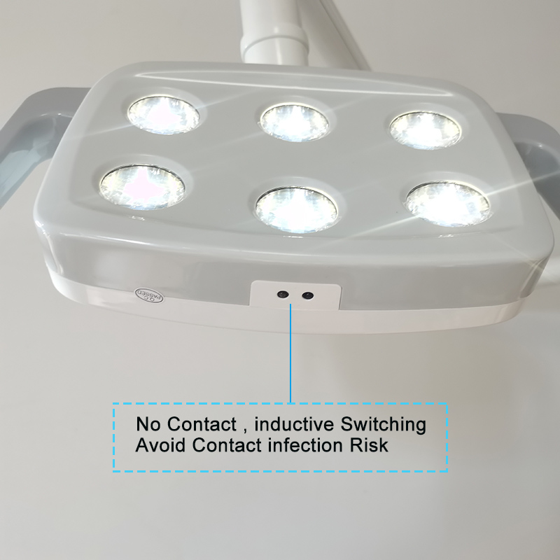 6LED Dental LED Lamp Oral Ligh - Teeth Whitening Light 리뷰 및 가격
