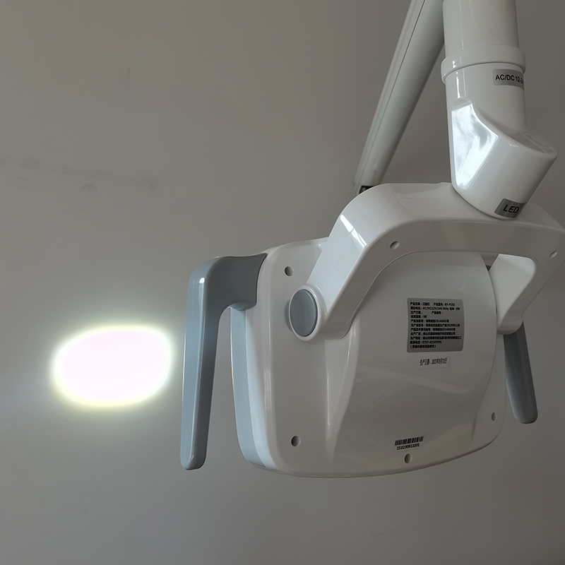 6LED Dental LED Lamp Oral Ligh - Teeth Whitening Light 리뷰 및 가격