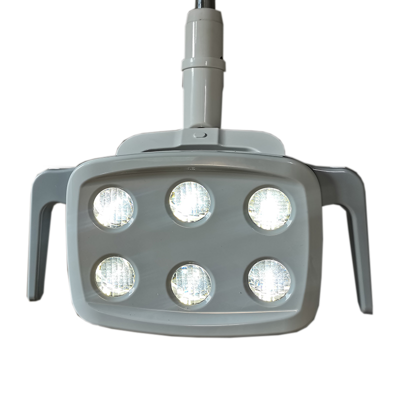 6LED Dental LED Lamp Oral Ligh - Teeth Whitening Light 리뷰 및 가격